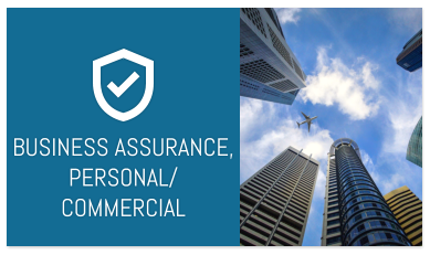 BUSINESS ASSURANCE, PERSONAL/  COMMERCIAL